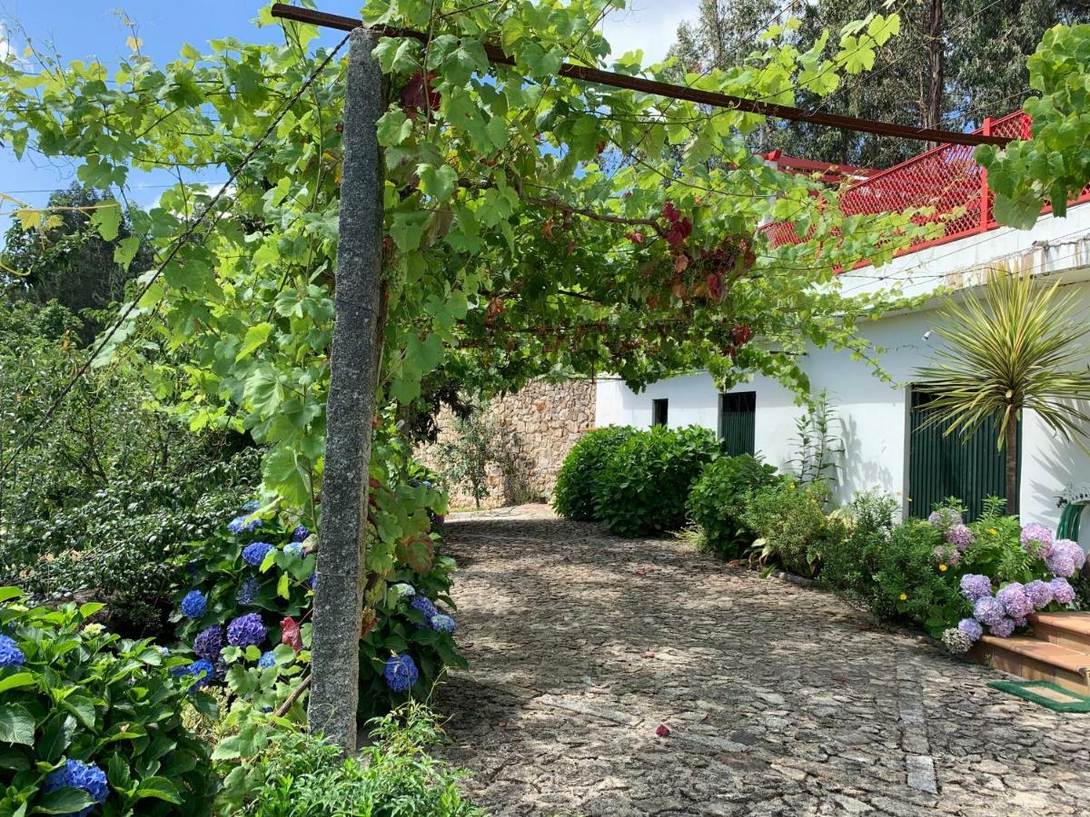Vila Aurora Parada de Gatim Luaran gambar